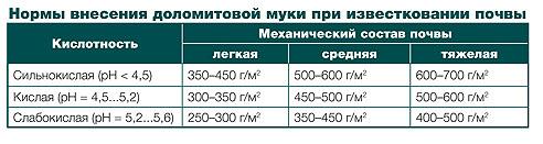 Раскисление почвы с помощью доломитовой муки: где не обойтись без доломитки?