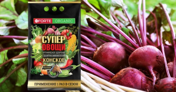 Чем подкормить свеклу во второй половине лета