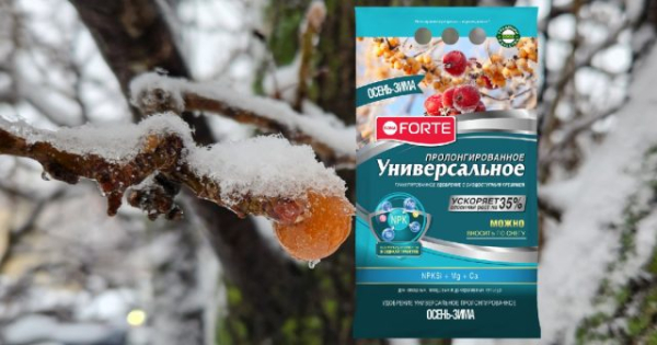 Как подготовить плодовые деревья к зиме