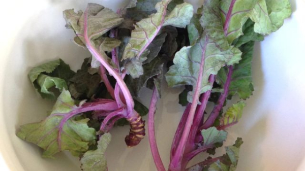 Неочевидная осенняя зелень — рецепты вкусных заготовок на зиму Неочевидная осенняя зелень — рецепты вкусных заготовок на зиму