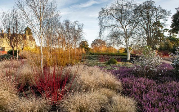 Что вы могли не знать о зимовке растений — создаем идеальные условия Что вы могли не знать о зимовке растений — создаем идеальные условия