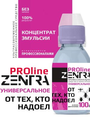 Как защитить дом и постройки на даче от нашествия насекомых